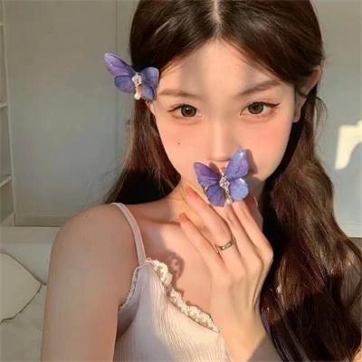 喀布尔的燕子